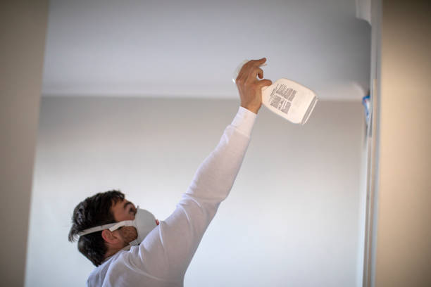 Best Mold Cleaning Services  in Ardsley, NY
