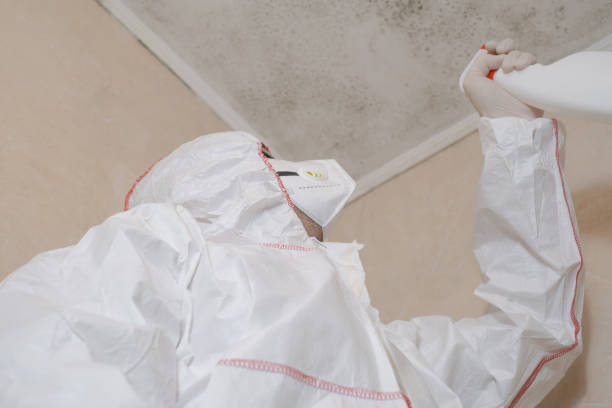 Best Mold Testing  in Ardsley, NY